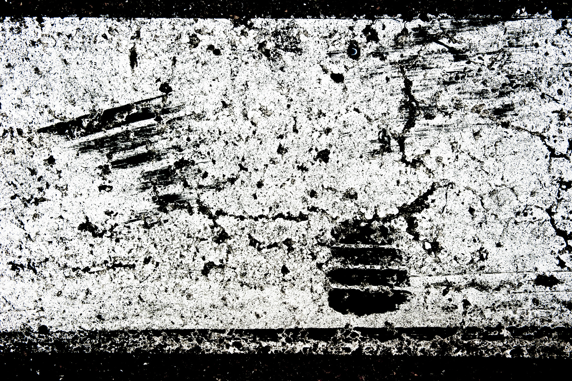 DSC 5360